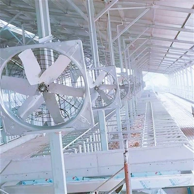 860 tastați ventilatorul de animale